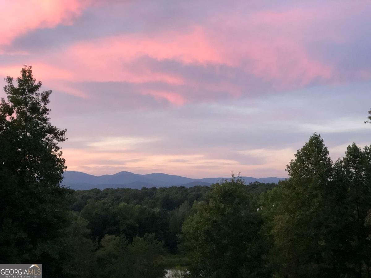 116 Lakota Drive Dawsonville - Photo 93