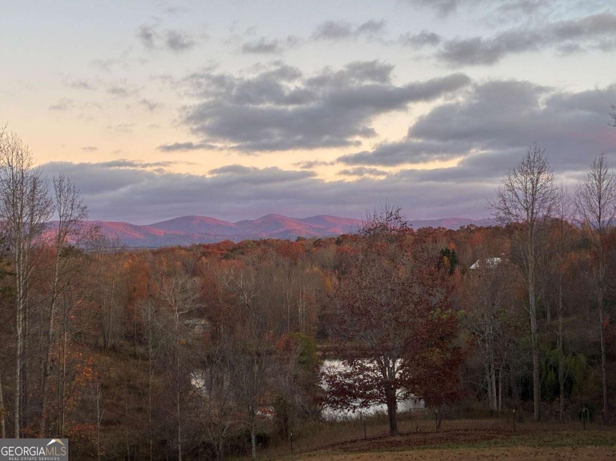 116 Lakota Drive Dawsonville - Photo 94