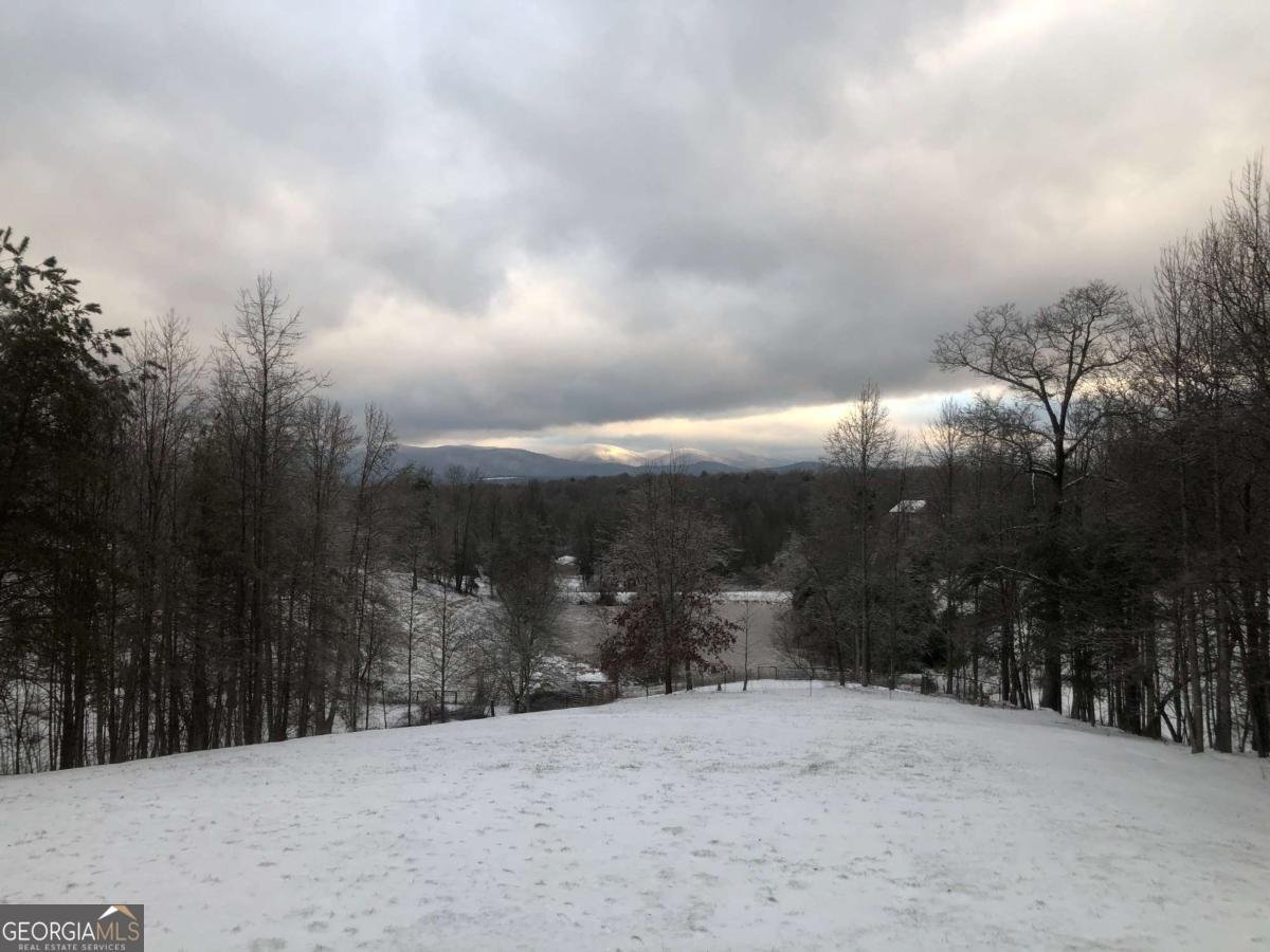 116 Lakota Drive Dawsonville - Photo 96