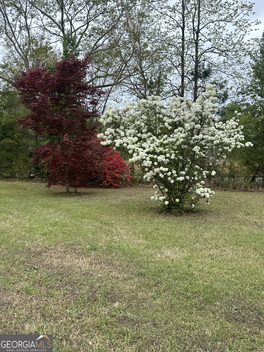 1959 Stroud Road McDonough - Photo 11
