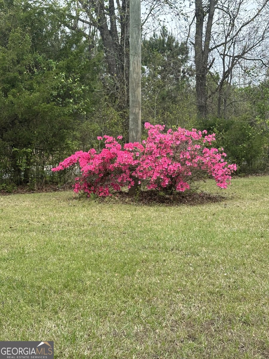 1959 Stroud Road McDonough - Photo 12