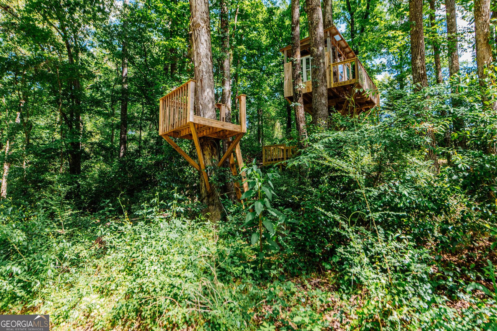 1661 Mule Creek Road Byron - Photo 24