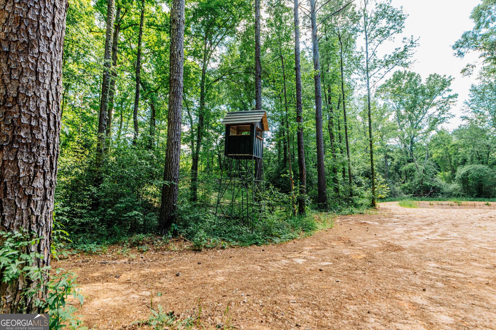 1661 Mule Creek Road Byron - Photo 31