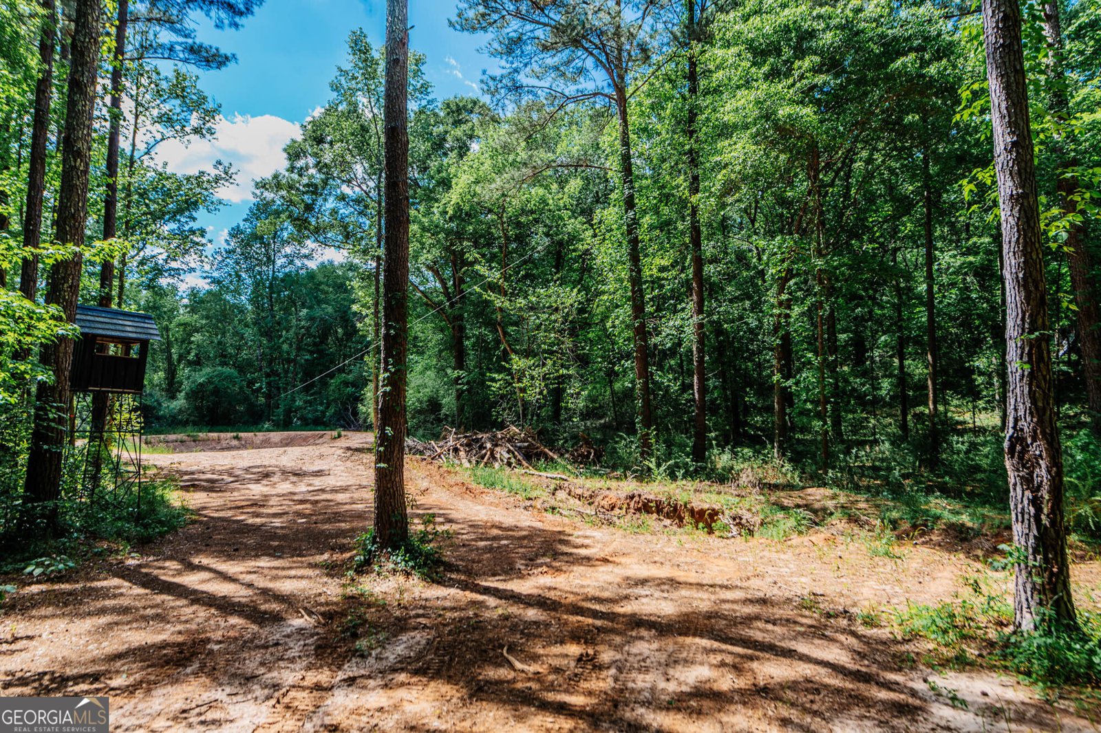 1661 Mule Creek Road Byron - Photo 34