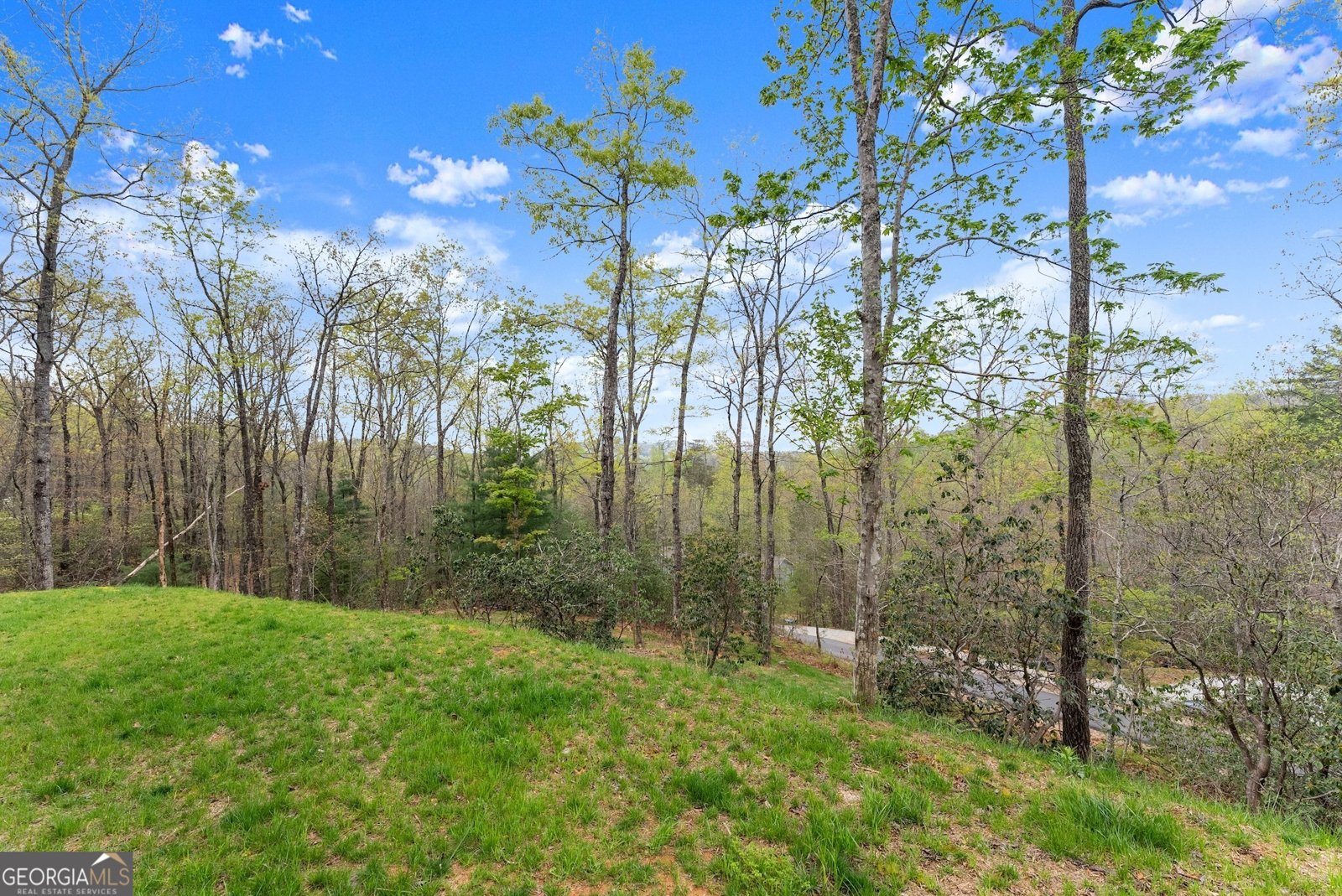 527 Abby Clayton - Photo 38