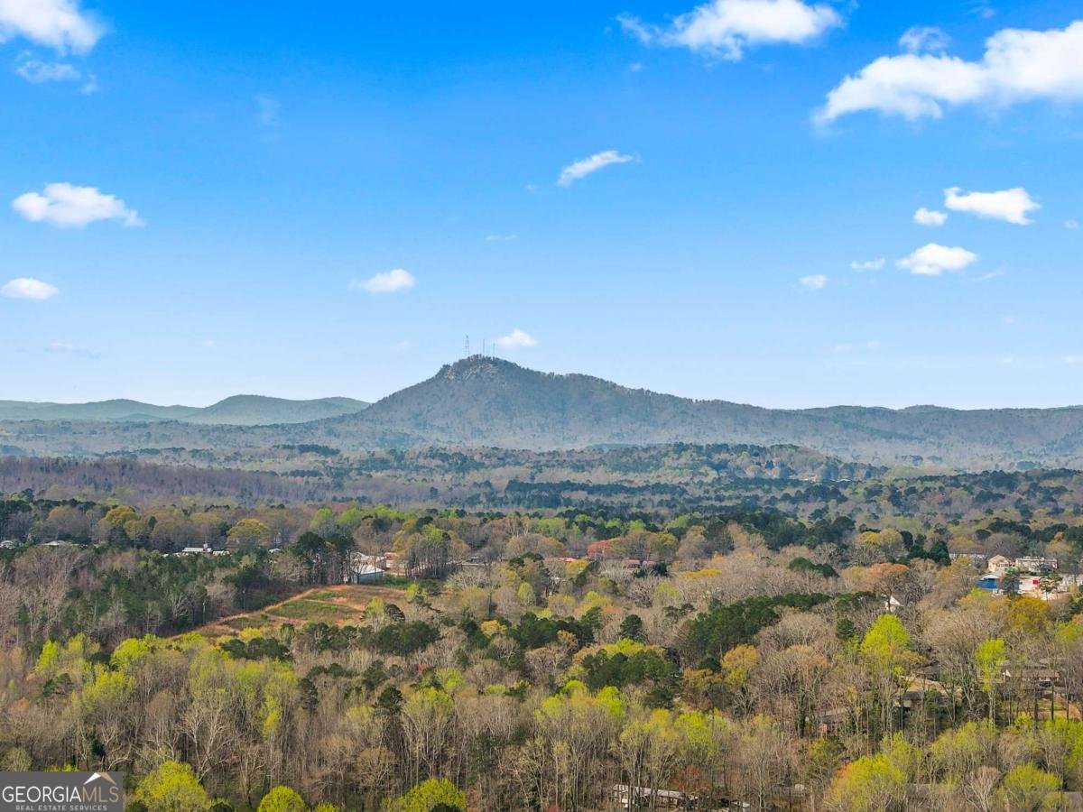 99 Hilltop Lane Toccoa - Photo 29