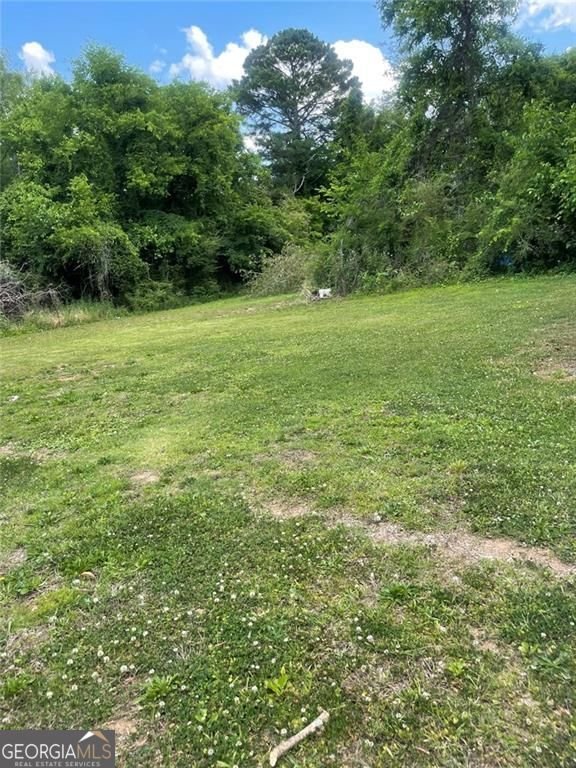401 17th Street Rome - Photo 46