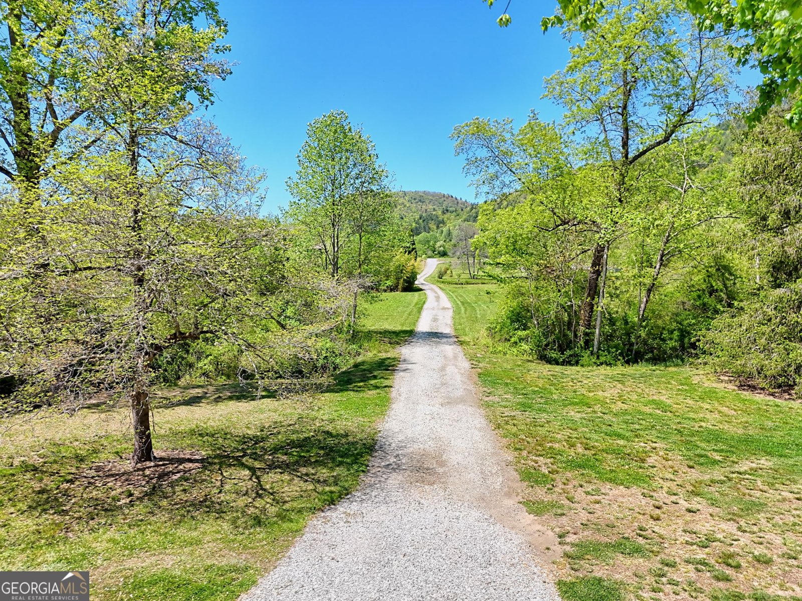 784 Wolffork Church Road Rabun Gap - Photo 46
