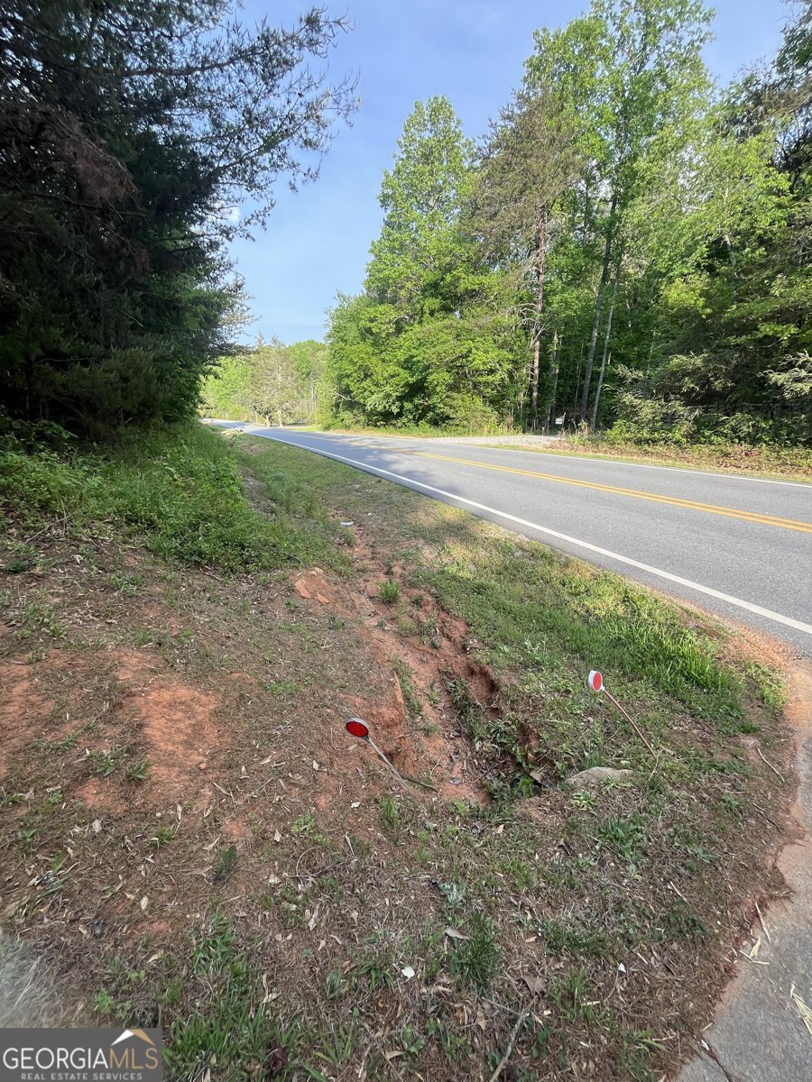 960 Asbury Mill Road Cleveland - Photo 97