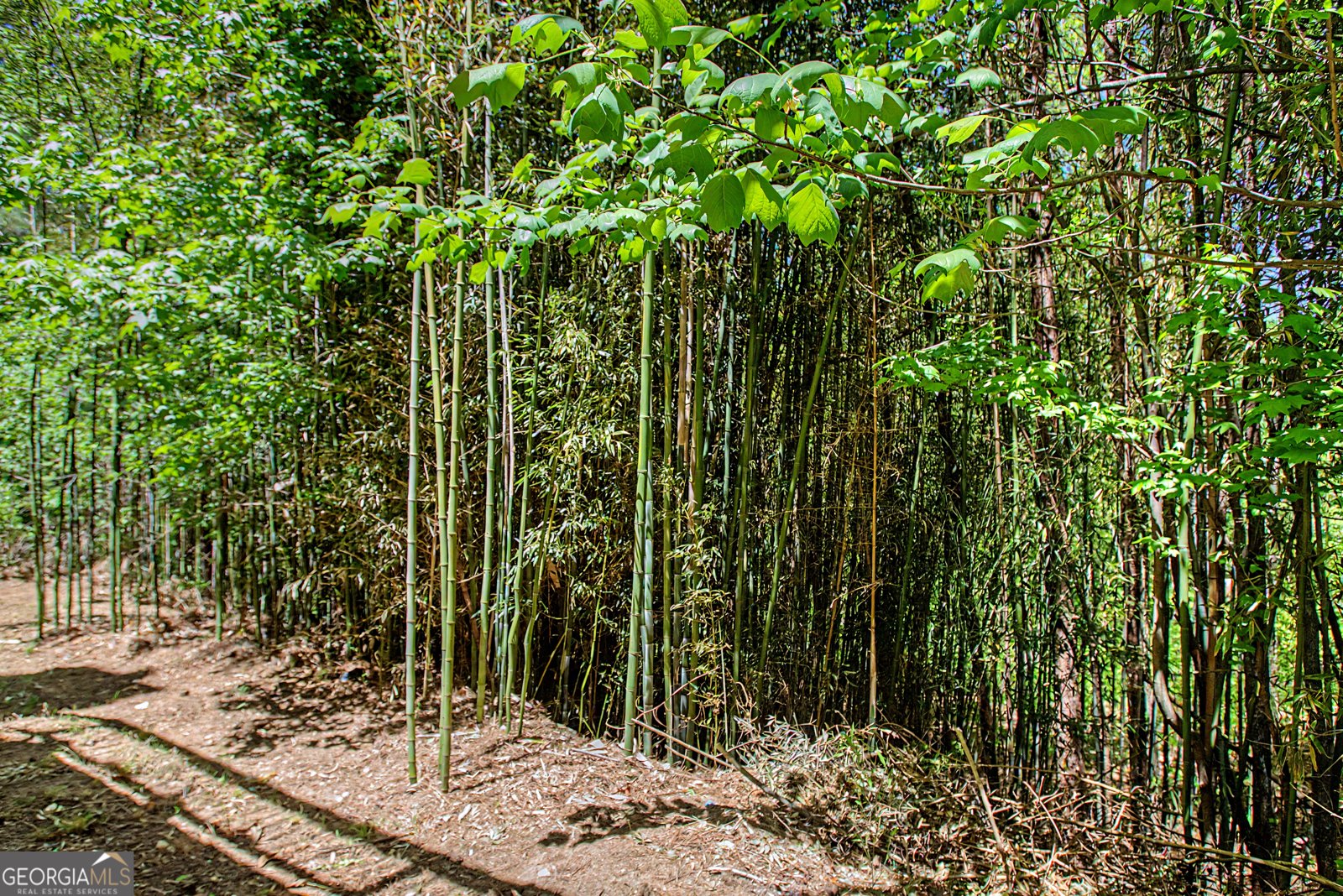 2430 Terry Court Cumming - Photo 41