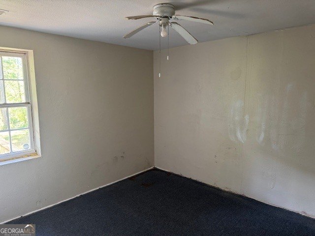 217 Central Lake Circle Griffin - Photo 18