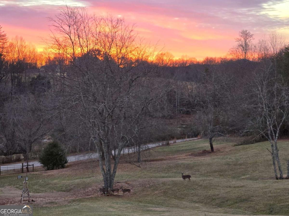 270 Boyd Wood Road Clarkesville - Photo 57