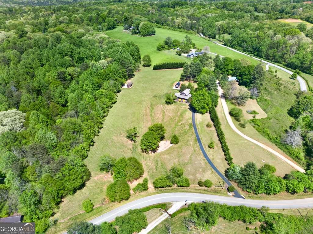 270 Boyd Wood Road Clarkesville - Photo 63