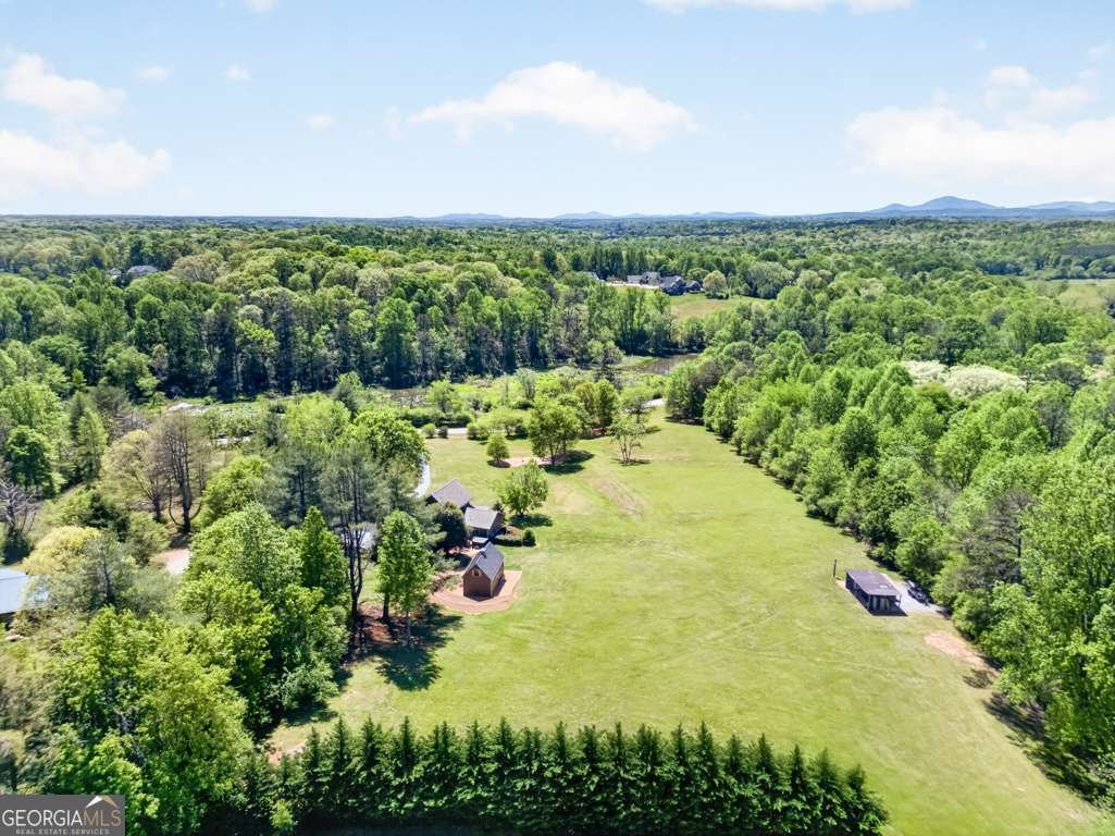 270 Boyd Wood Road Clarkesville - Photo 66