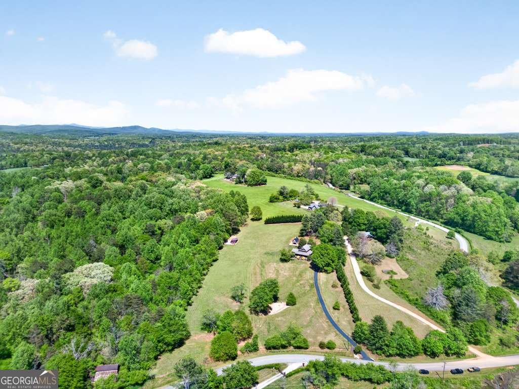 270 Boyd Wood Road Clarkesville - Photo 68