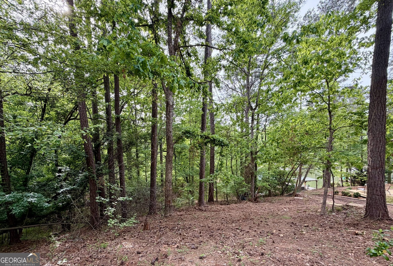 461 Cardinal Drive Monticello - Photo 3