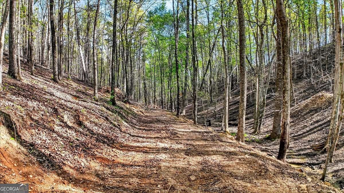 7433 Nicklesville Road Ranger - Photo 35