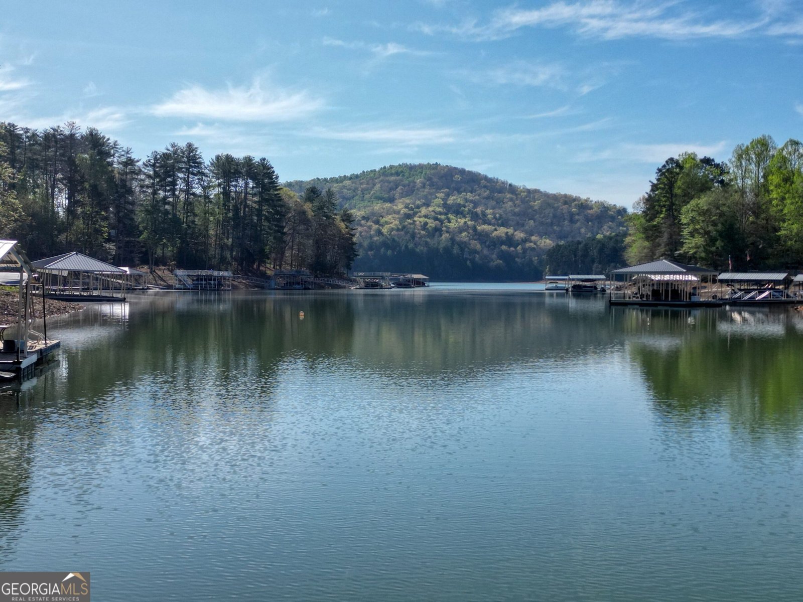 92 Notla Vista I Blairsville - Photo 67