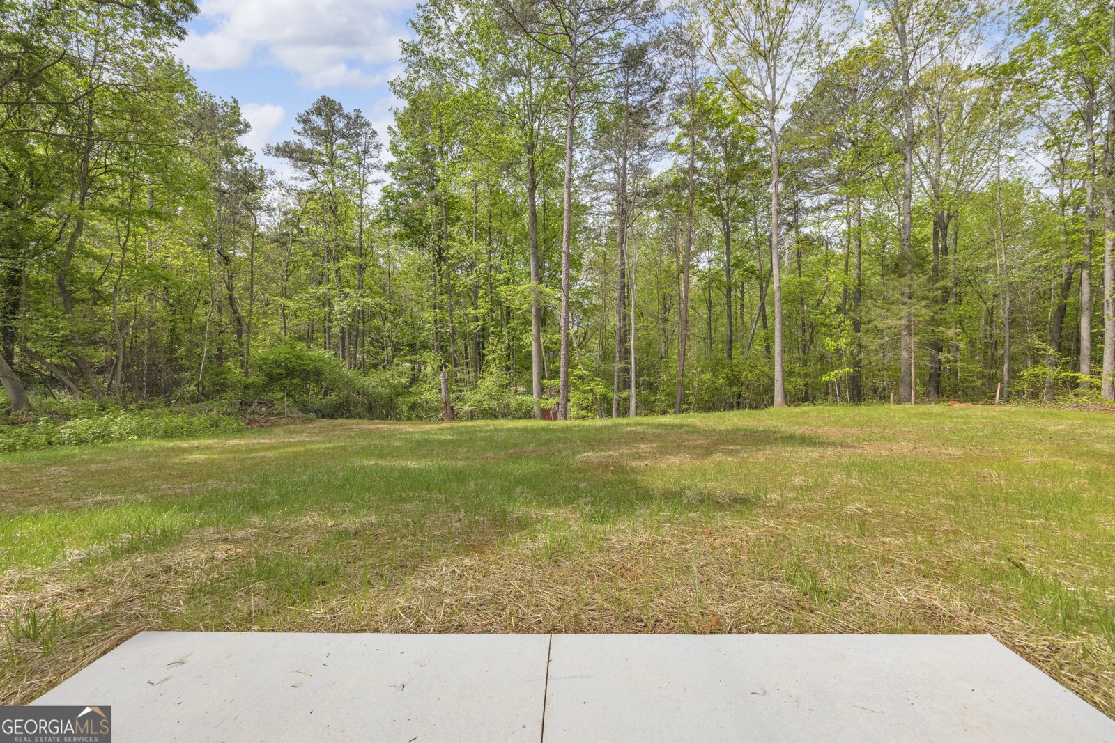 181 Lake Club Drive Lavonia - Photo 29