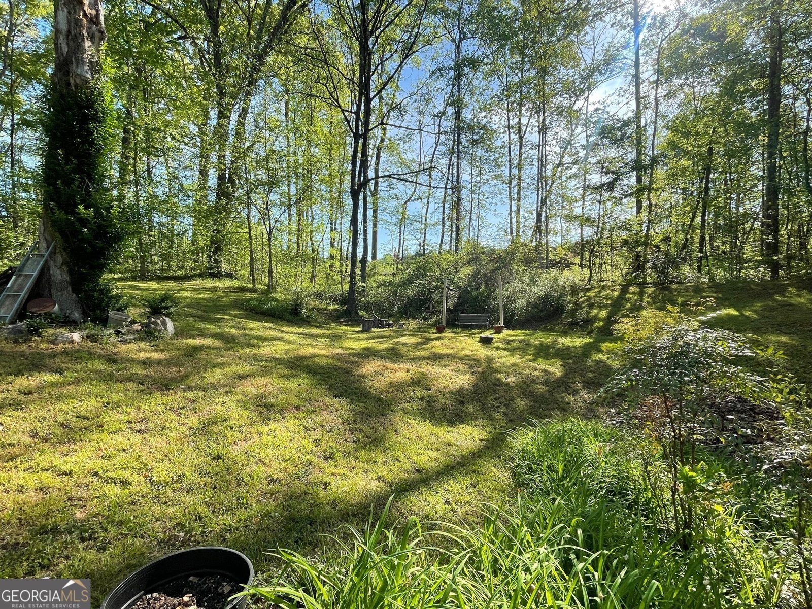 5017 Ball Ground Highway Ball Ground - Photo 39