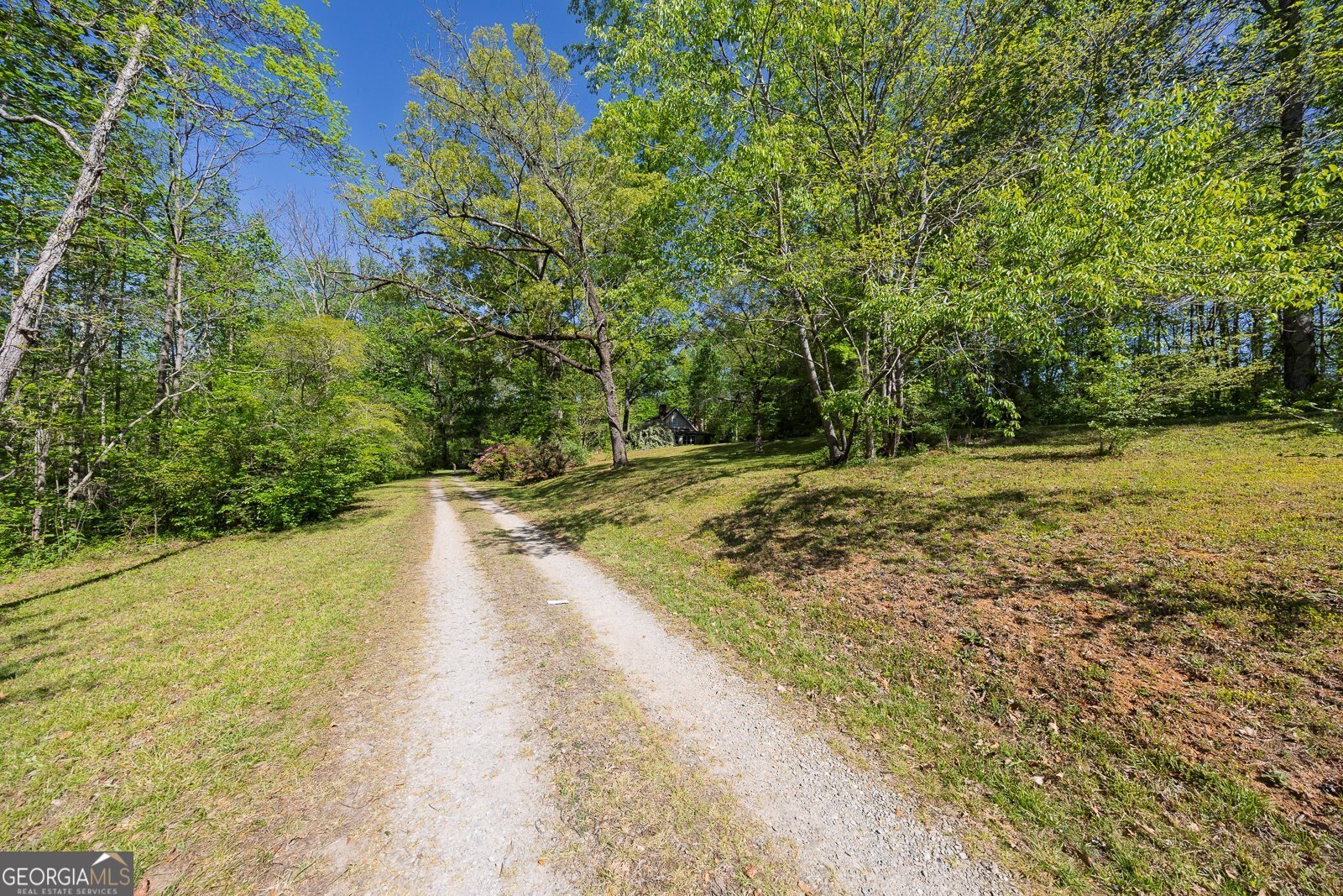 5017 Ball Ground Highway Ball Ground - Photo 6