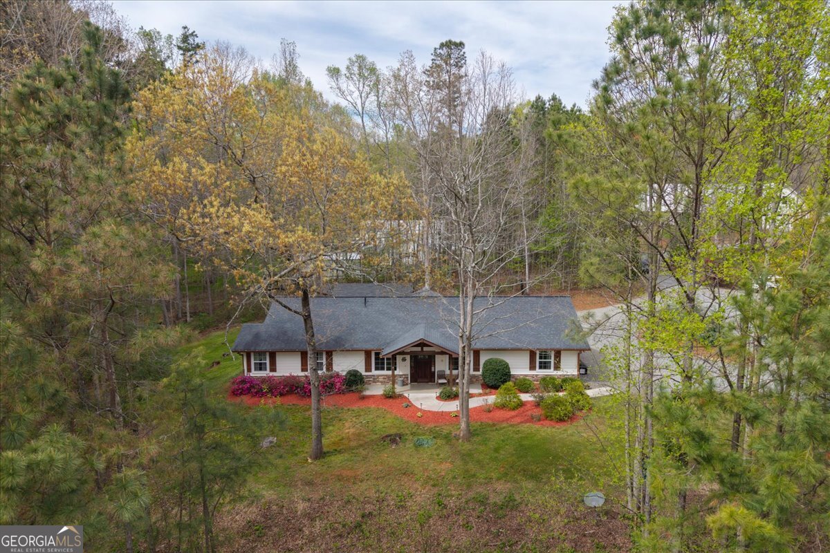 121 Willow Creek Lane Ellijay - Photo 49