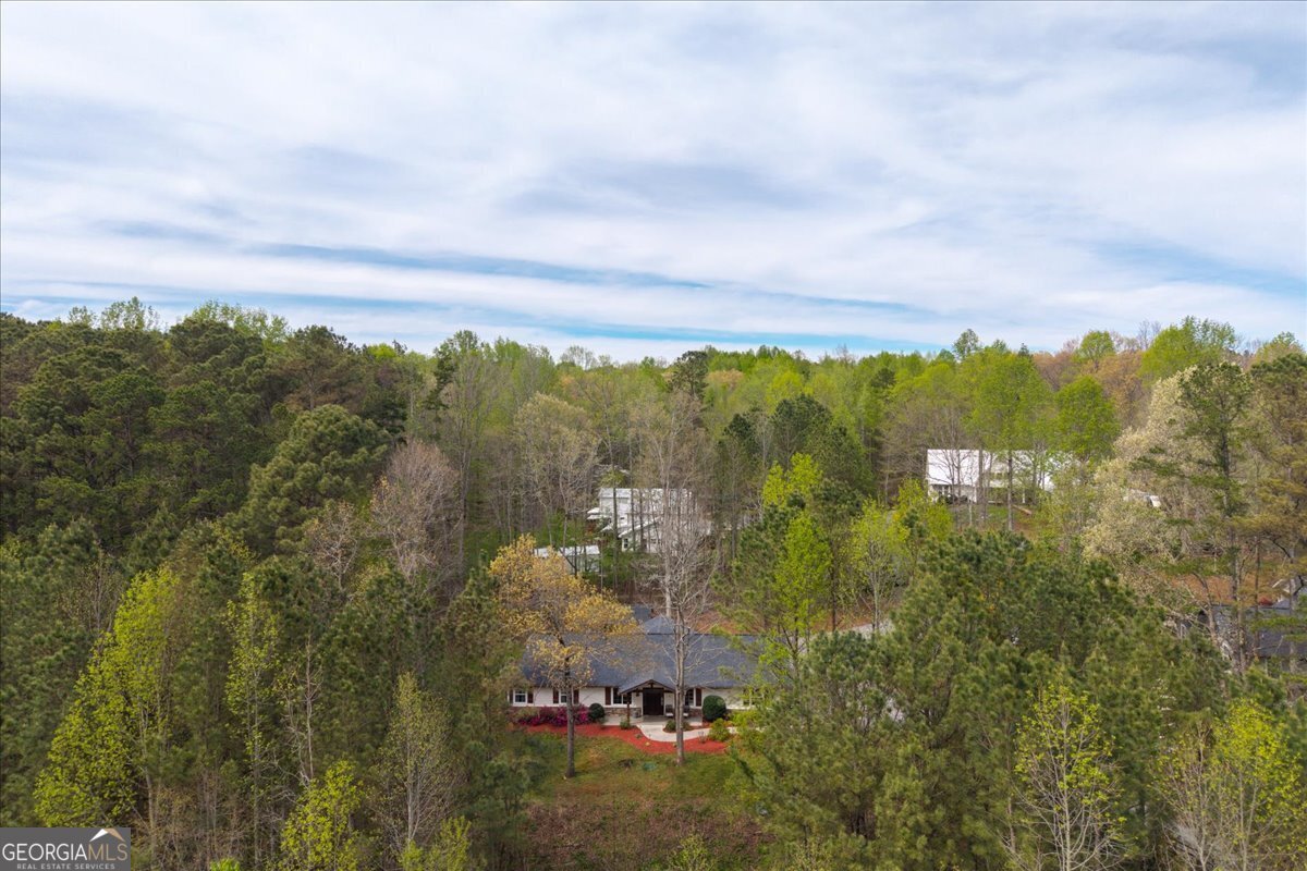 121 Willow Creek Lane Ellijay - Photo 50