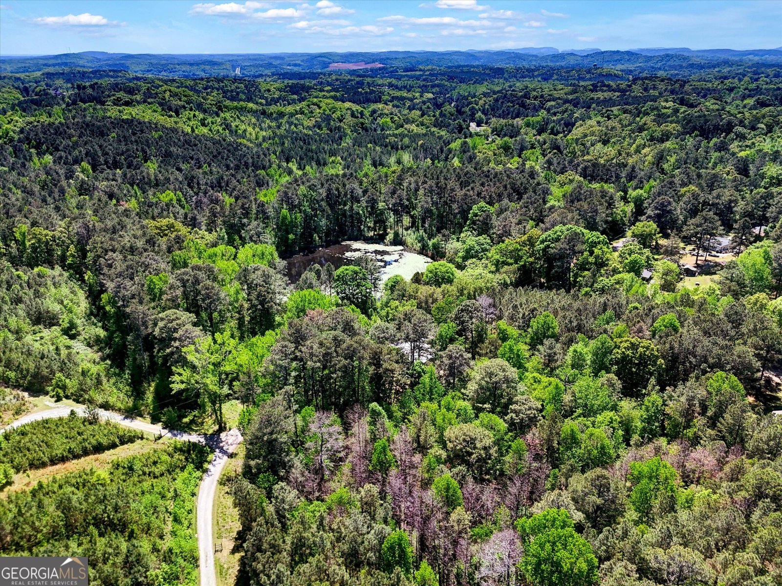 111 Kasonawich Road Rome - Photo 33