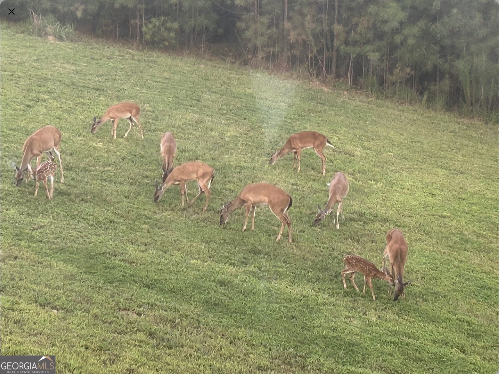 1424 Ridge Pointe Way Blairsville - Photo 15