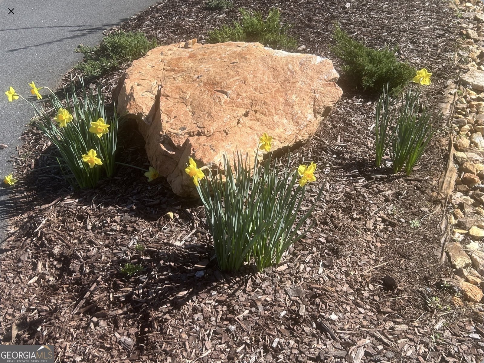 1424 Ridge Pointe Way Blairsville - Photo 16