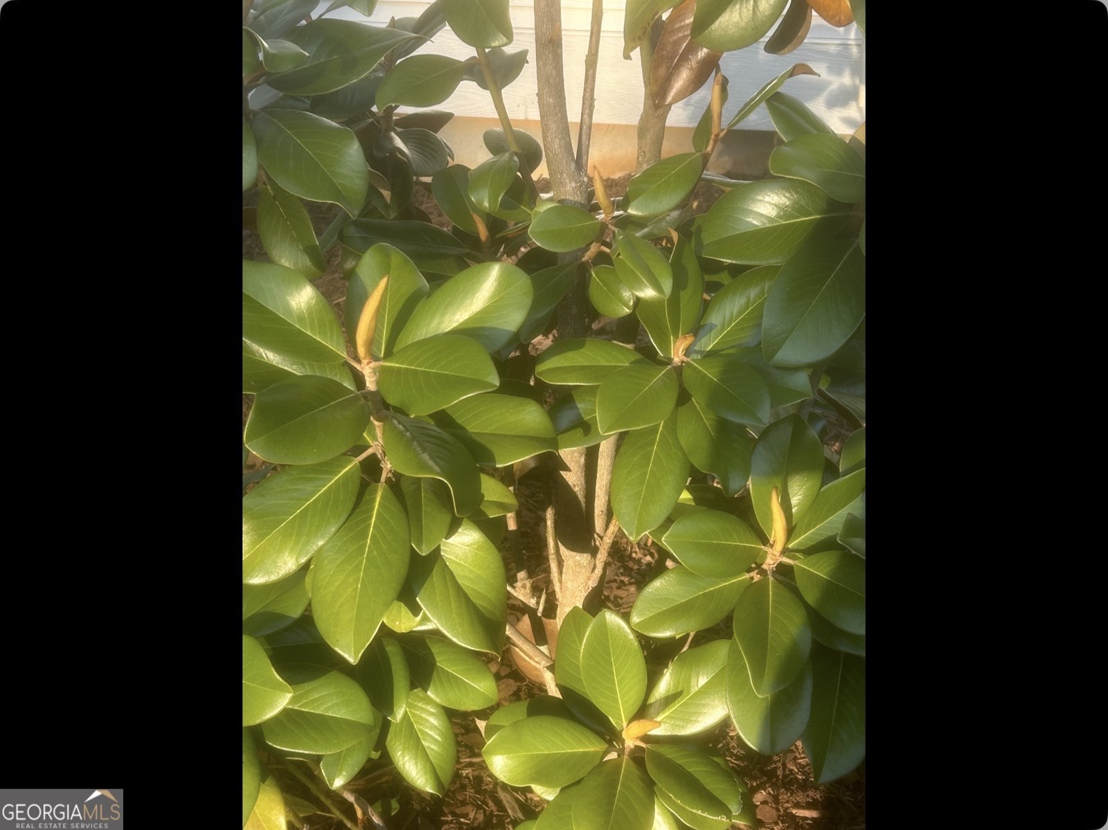 1424 Ridge Pointe Way Blairsville - Photo 17