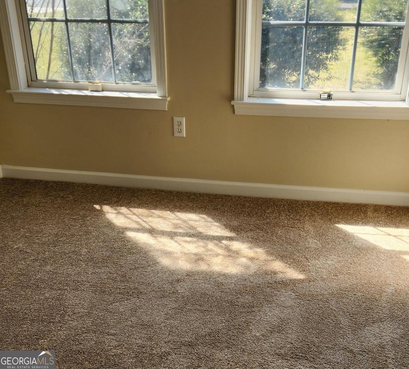 132 Larkspur Lane Bonaire - Photo 14