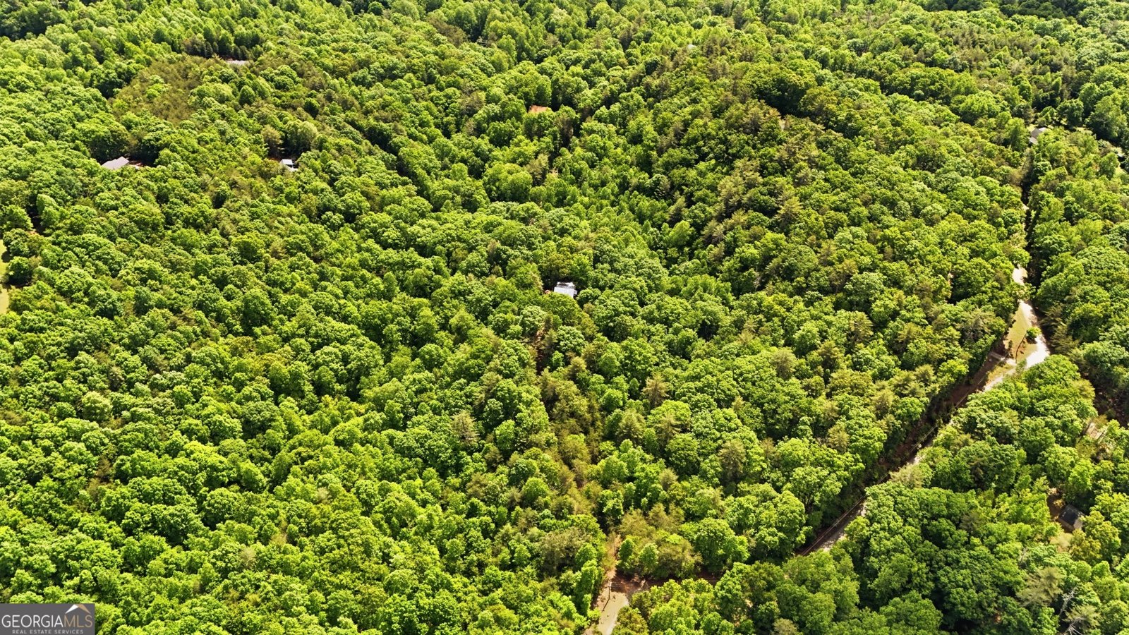 225 Hamik Hollow Road Cleveland - Photo 53