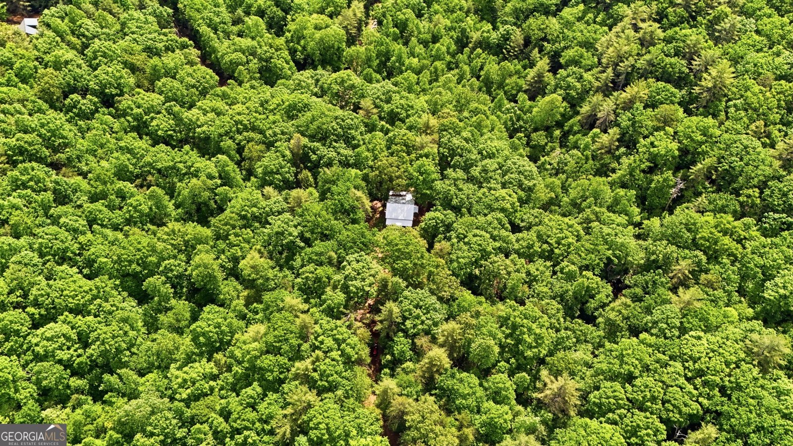225 Hamik Hollow Road Cleveland - Photo 54