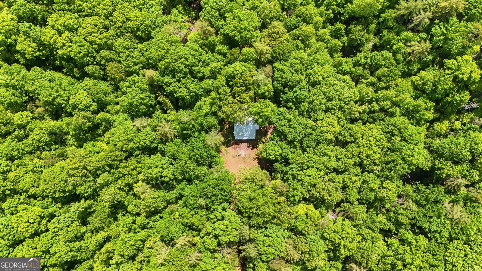 225 Hamik Hollow Road Cleveland - Photo 55