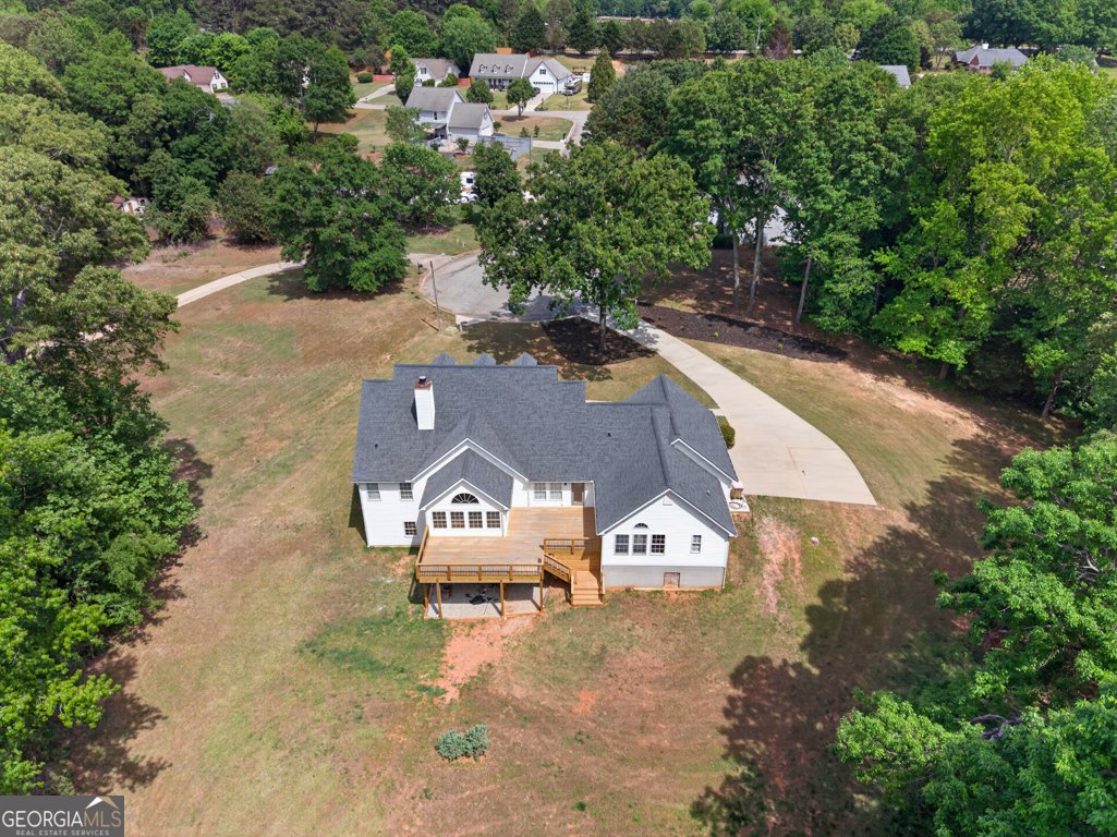 5633 Peace Avenue Braselton - Photo 51