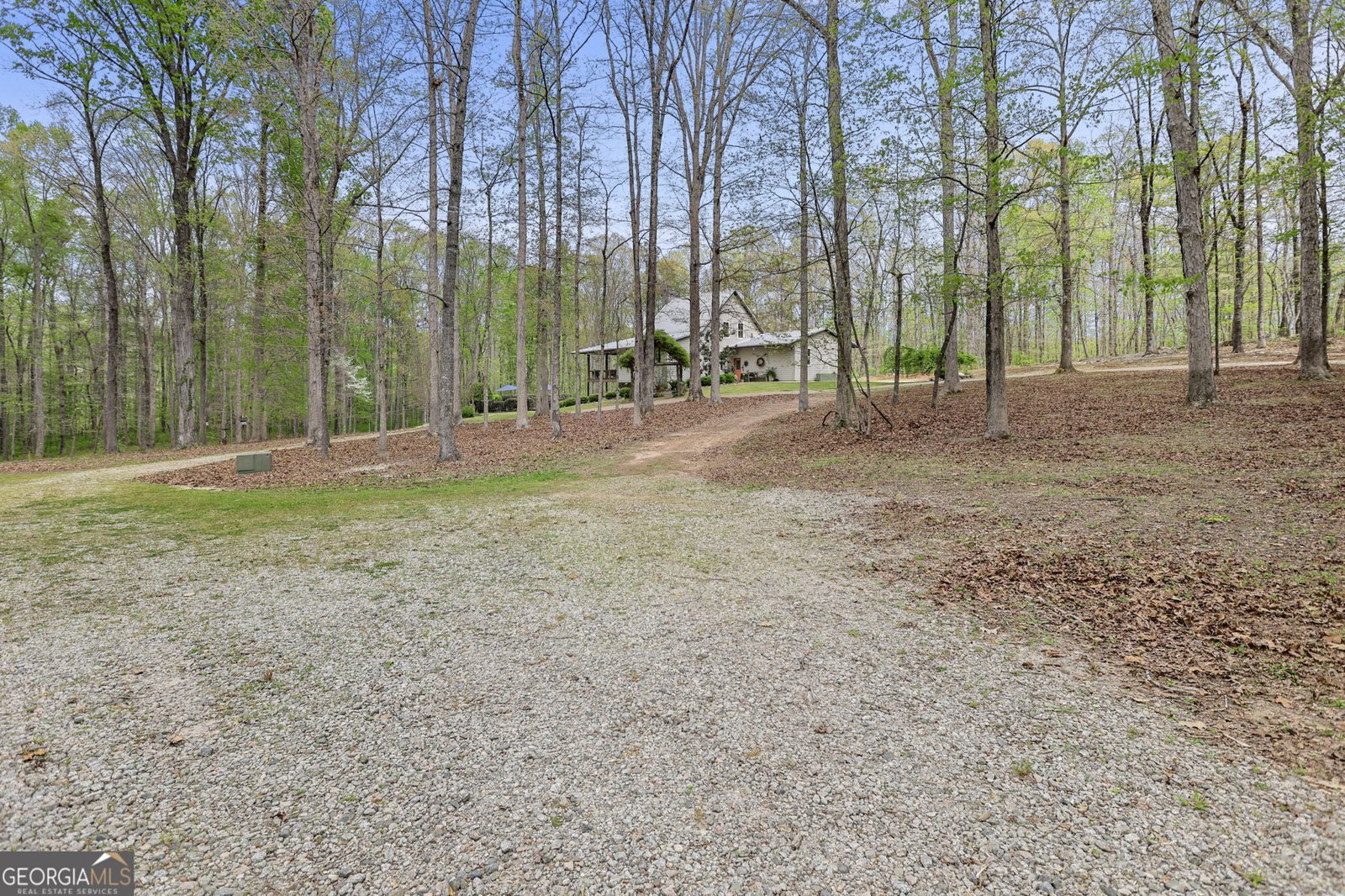 1003 Gray Girls Road Senoia - Photo 40