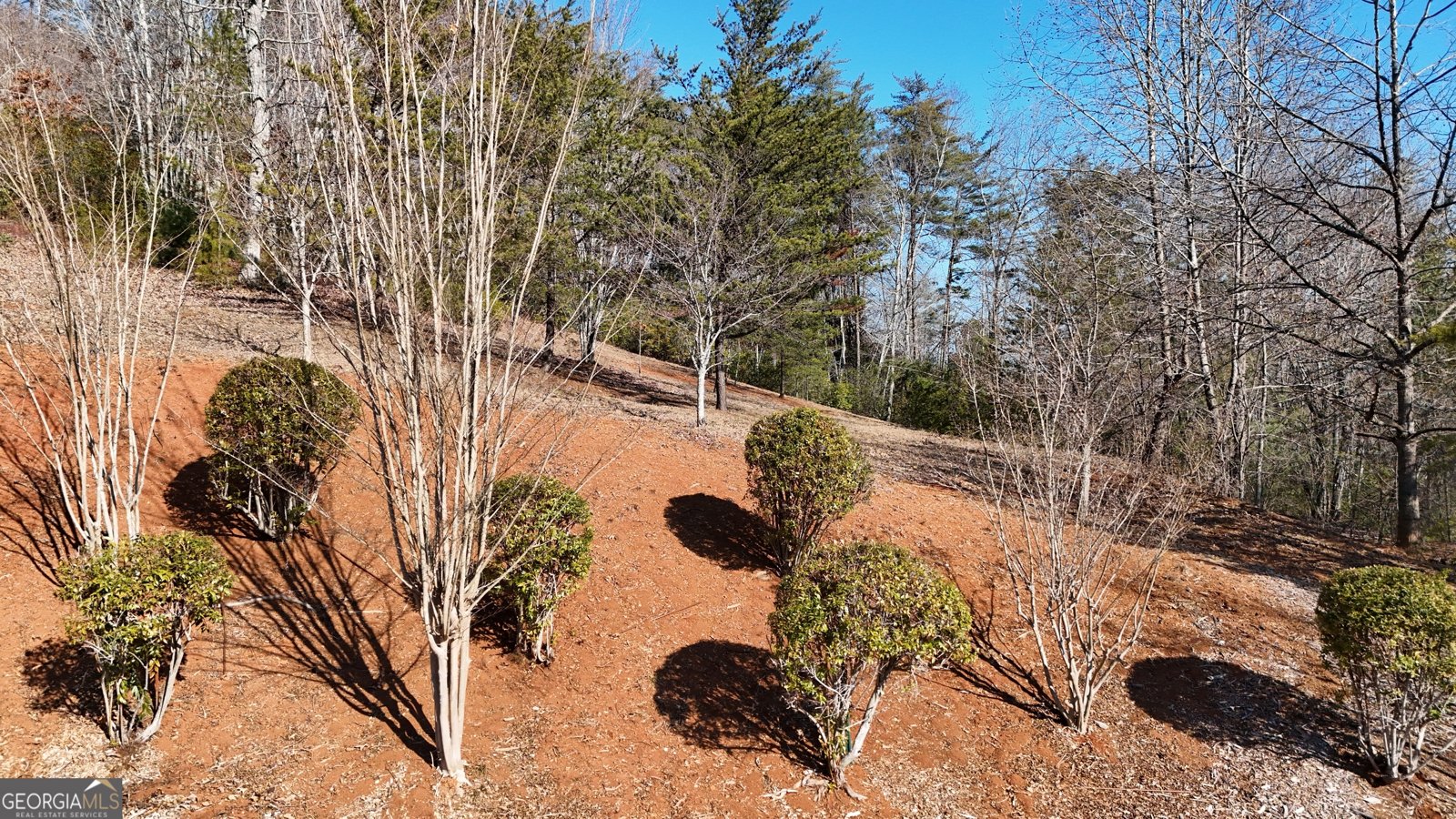 120 Ridgeland Sautee Nacoochee - Photo 65