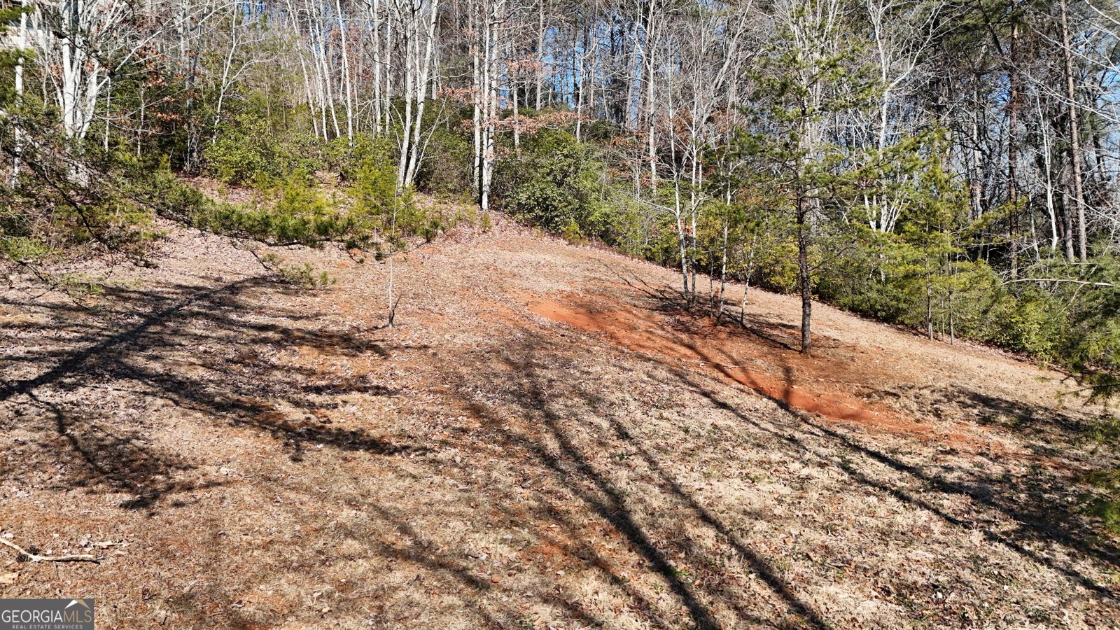 120 Ridgeland Sautee Nacoochee - Photo 66