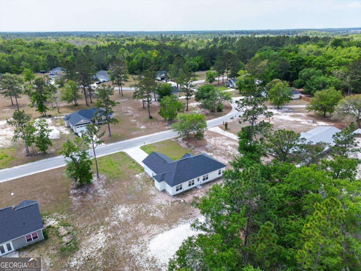 73 Taylor Creek Spur Ludowici - Photo 36