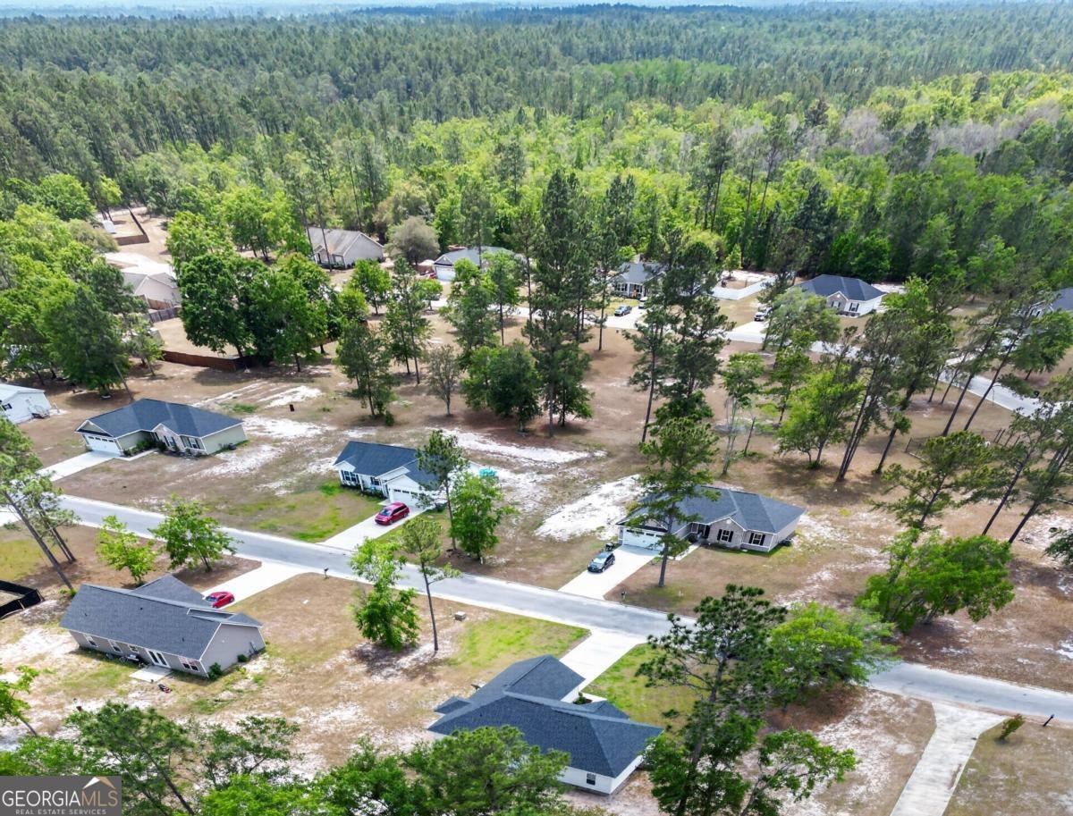 73 Taylor Creek Spur Ludowici - Photo 37