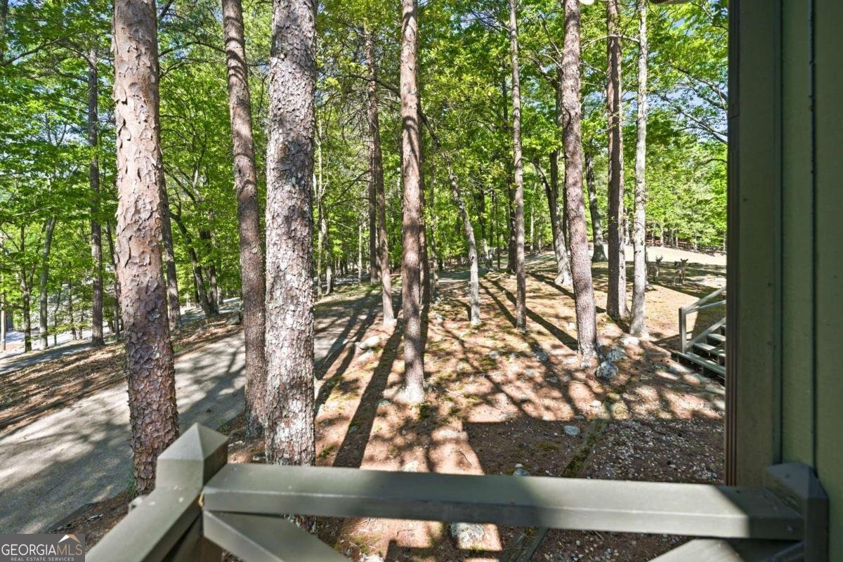 114 Cherokee Drive Waleska - Photo 32