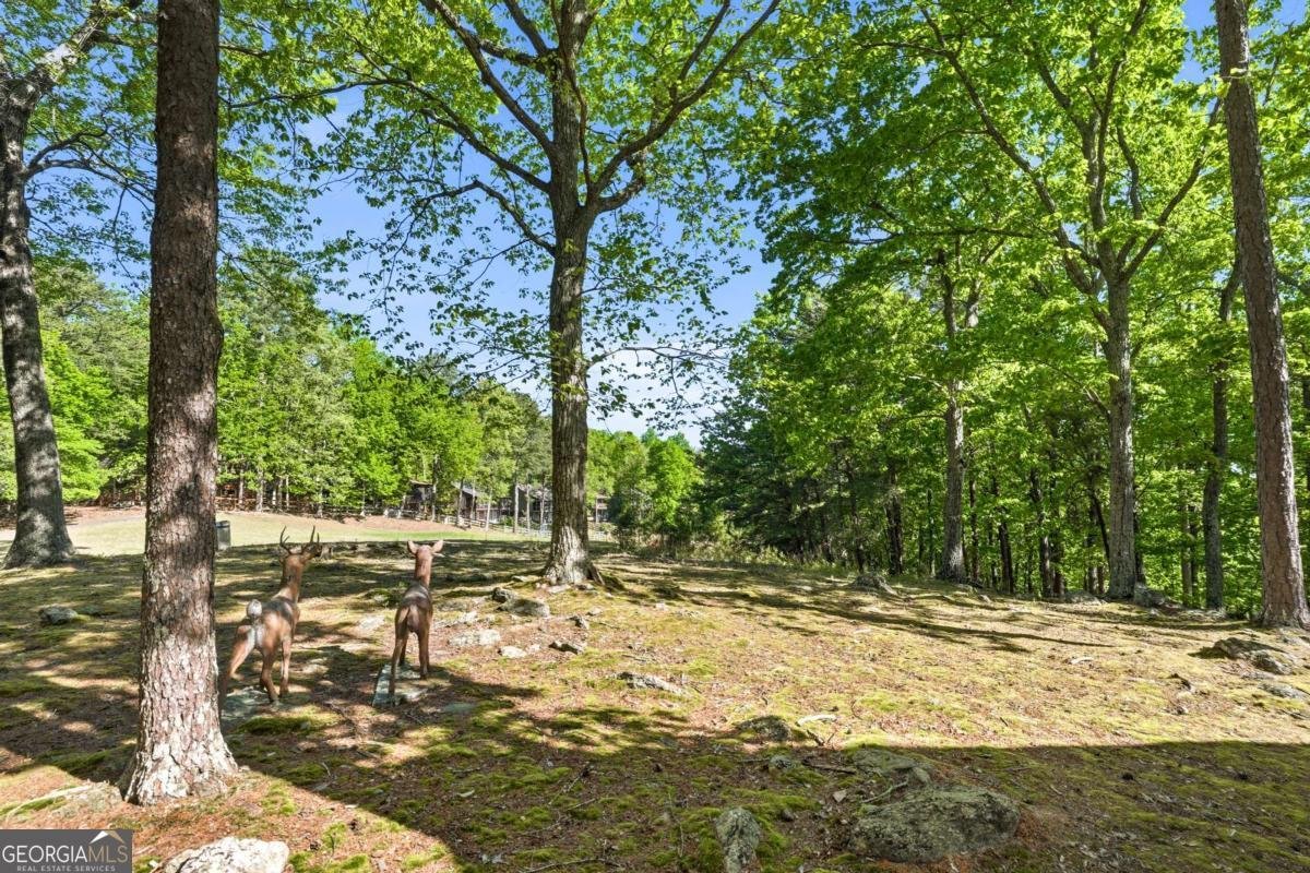 114 Cherokee Drive Waleska - Photo 39