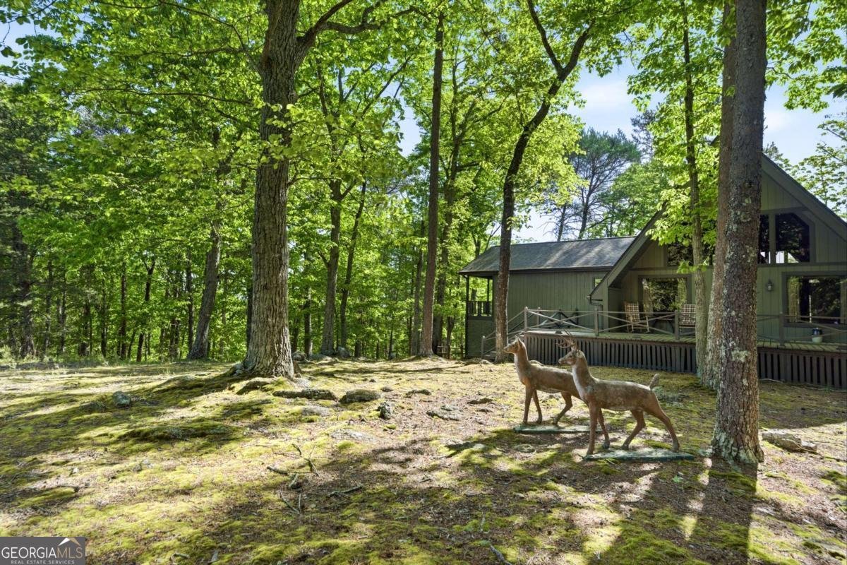 114 Cherokee Drive Waleska - Photo 40