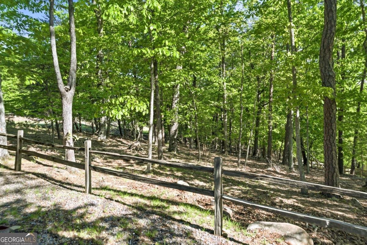 114 Cherokee Drive Waleska - Photo 48