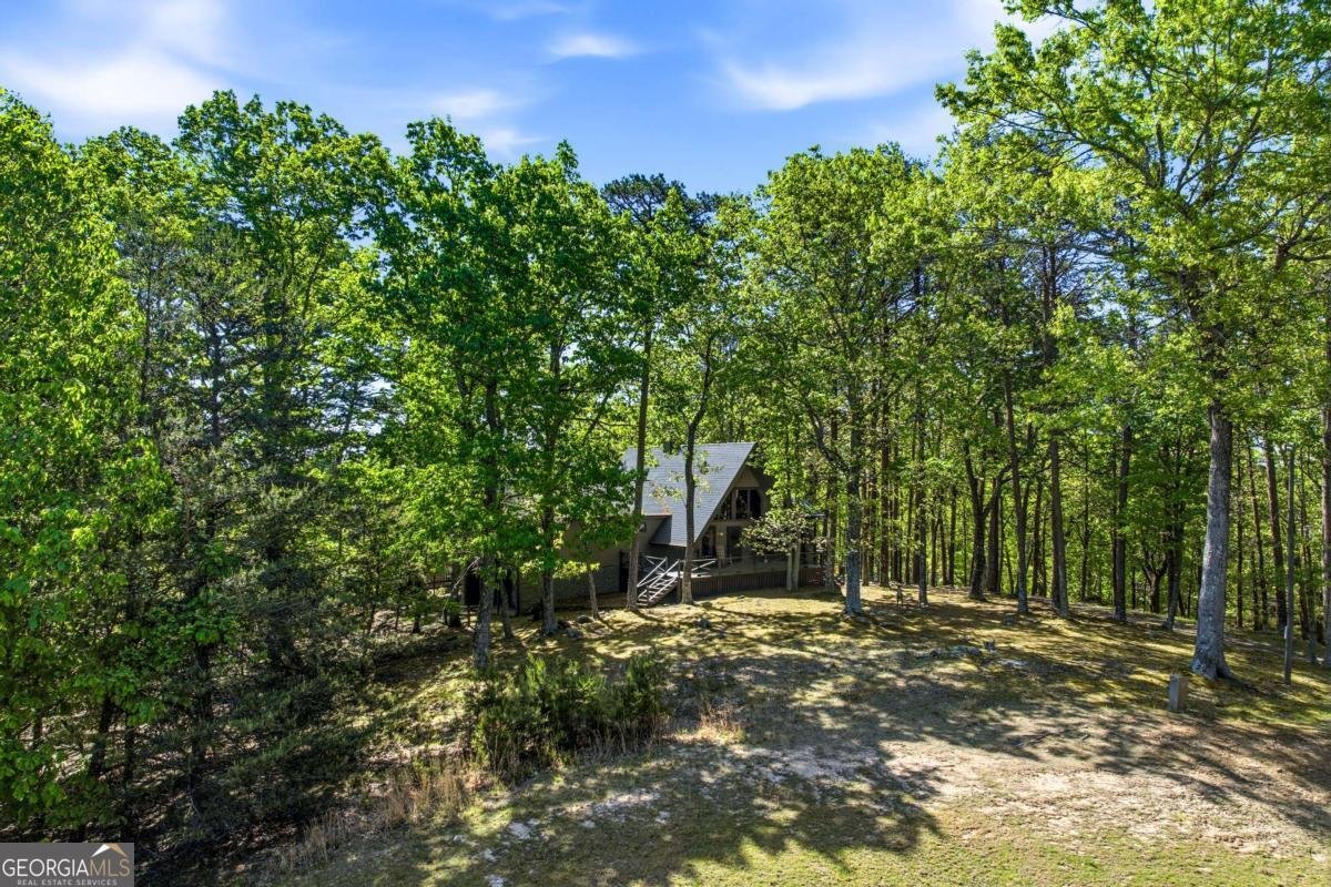 114 Cherokee Drive Waleska - Photo 49