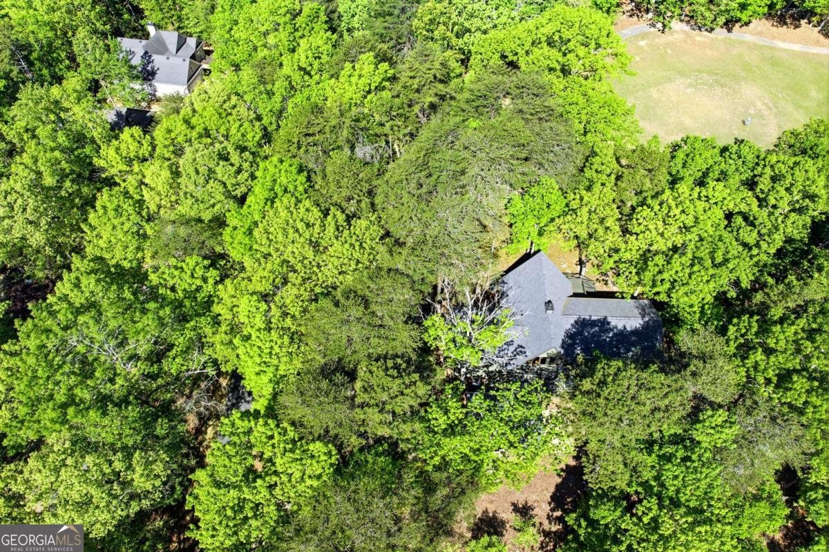 114 Cherokee Drive Waleska - Photo 51