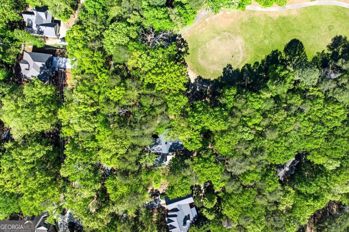 114 Cherokee Drive Waleska - Photo 52