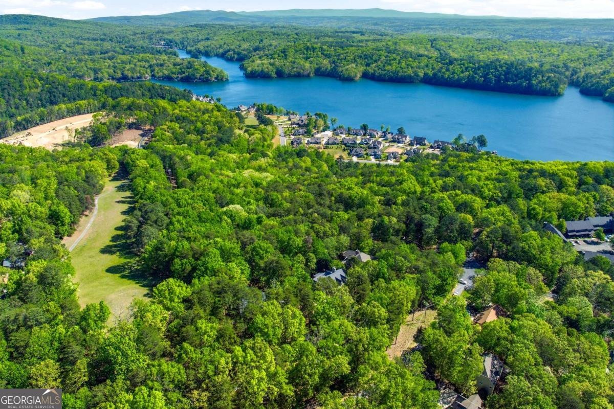 114 Cherokee Drive Waleska - Photo 53