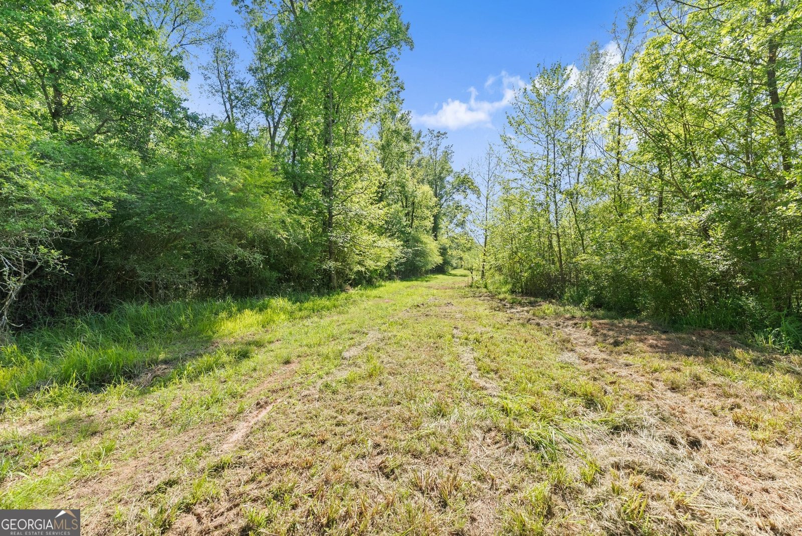 951 Canter Way Jefferson - Photo 83